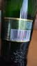 青岛啤酒（TsingTao）奥古特480ml*6瓶 整箱装 实拍图