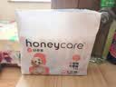 HONEYCARE好命家 狗狗纸尿裤大型母狗生理裤月经裤S适用体重3-5kg12片装 实拍图