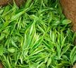 八马茶业金骏眉红茶武夷山特级160g罐装端午送礼红茶自己喝 实拍图