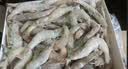 万景北海鲜冻白虾 国产白虾 单冻无冰净重4斤 100-120只 中秋聚餐 实拍图
