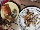 【活蟹】漁家师傅大闸蟹全母2-2.3两6只去绳足重鲜活螃蟹现货生鲜水产礼盒中秋送礼 实拍图