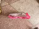洁丽雅（Grace）拖鞋男2026新款夏季抗菌EVA防臭浴室洗澡防滑情侣室内家居凉拖女 实拍图