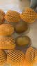 佳沛（zespri）新西兰金奇异果10粒巨大果146-175g猕猴桃水果礼盒 实拍图