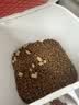 小佩智能自动喂食器SOLO白色 定时定量猫咪自动投食器(支持鸿蒙智联) 实拍图