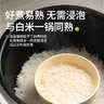 田喜粮鲜有机七分胚芽米儿童大米成长期主粮比白米有营养胚芽米1.6斤 实拍图