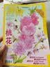 博物 蟑螂 2025年11月号 最强双马尾 中国国家地理青春少年版 博物君探索自然奥秘 实拍图