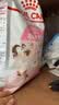 皇家猫粮 幼猫猫粮 幼猫奶糕 K36 通用粮 4-12月 2KG 实拍图