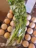 【火锅季】带根香菜100g 实拍图