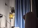 雷士（NVC）小夜灯卧室睡眠床头灯氛围台灯婴儿喂奶起夜拍拍灯触控款2400mAh 实拍图
