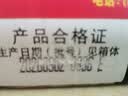 椰树牌椰果椰汁 250g*24罐 植物蛋白饮料 正宗海南特产 实拍图