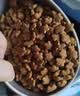 LEGENDSANDY蓝氏狗粮通用金毛拉布拉多泰迪鸡肉三文鱼金枪鱼15kg【囤货装】 实拍图