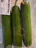 【水果菜】荷兰水果黄瓜约400g 实拍图