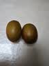 佳沛（zespri）新西兰金奇异果12粒特大果124-146g猕猴桃中秋节礼品送水果礼盒 实拍图