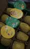 佳沛（zespri）新西兰金奇异果8粒特大果124-146g猕猴桃中秋节礼品送水果礼盒 实拍图