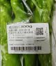 【蘸酱菜】螺丝椒 约300g 实拍图
