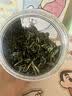 沏万年小叶苦丁茶特级2026嫩芽正宗贵州高血糖血压血脂清肝新茶叶100g 实拍图
