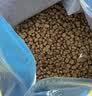 鲜朗低温烘焙猫粮无谷全阶段通用型鲜郎营养高蛋白鸡肉全价猫粮囤货装 烘焙猫粮2kg*4【囤货装】 实拍图