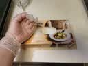 英科医疗一次性手套PVC100只大码12英寸加长食品级餐饮厨房防水家务清洁 实拍图