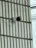 鸿蒙智选海雀室外摄像头800万监控家用360度无死角带夜视可升级4G终身免流无需wifi农村庭院户外门口5Pro4K 实拍图