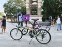 大行（DAHON）D6经典折叠自行车20英寸6速折叠车成人男女士学生折叠单车KBC061 青草绿 实拍图