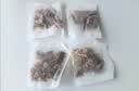 南京同仁堂菊花枸杞决明子茶養盰護肝茶桑叶栀子甘草牛蒡根养生茶150g 实拍图