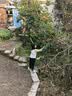 京锴摘水果神器不锈钢伸缩杆摘苹果柿子果子摘果器高空采摘工具钩 5米 实拍图