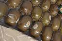 佳沛（zespri）新西兰金奇异果10个装单果重103-114g猕猴桃中秋节礼品送水果礼盒 实拍图