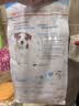 皇家狗粮 幼犬狗粮 宠物 小型犬 MIJ31 全价犬粮 2-10月 2KG 实拍图
