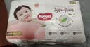 好奇（Huggies）铂金装小桃裤成长裤XL96片(12-17kg)加大号尿不湿【散热口碑王】 实拍图