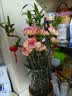 单头康乃馨随机色10枝（花苞发货） 教师节礼物送老师 实拍图
