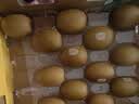 佳沛（zespri）新西兰 金奇异果特大果15粒134-146g猕猴桃中秋节礼品送水果礼盒 实拍图