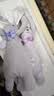 澳贝（auby）婴幼儿童玩具星座小兔安抚巾宝宝哄睡神器新生儿毛绒手偶满月礼物 实拍图