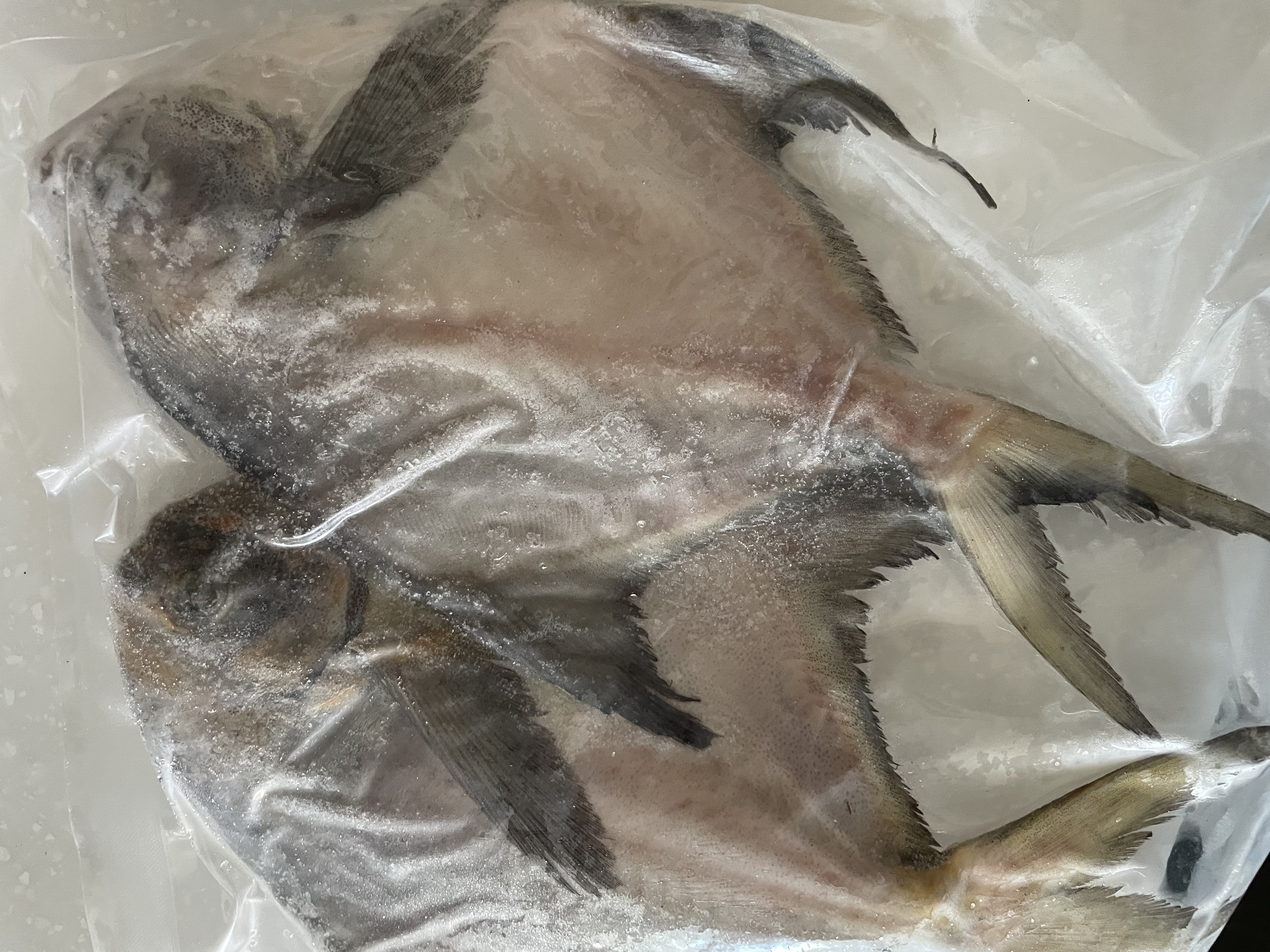 鲜到鲜得 东海银鲳鱼400g/2条装 平鱼 生鲜鱼类 深海鱼 烧烤食材 中秋海鲜 实拍图