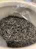 福茗源红茶 特级武夷山金骏眉250g 2026新茶春茶叶礼盒送领导长辈老丈人 实拍图