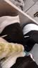 耐克NIKE男子跑步鞋REVOLUTION 7运动鞋春夏款FB2207-001黑白44 实拍图