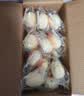 港荣蒸蛋糕奶香900g蛋糕小面包早餐零食饼干西式糕点甜品中秋礼品盒 实拍图