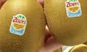 佳沛（zespri）新西兰金奇异果10粒巨大果146-175g猕猴桃水果礼盒 实拍图
