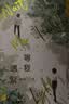 等我·逢景（新版） 网络原名《放学等我》，畅销书作家酱子贝校园文代表作，随书赠品：珠光人物票根两张+拍立得+陈景深生日卡+Q版头像框两张+五人小卡+重逢日纪念蛋糕卡+同桌折卡 实拍图