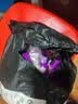 【5元200粒】樟脑丸衣柜防霉防蛀虫去湿防潮除味驱家用防蟑螂球 亏本处理：【50袋】1000颗 实拍图