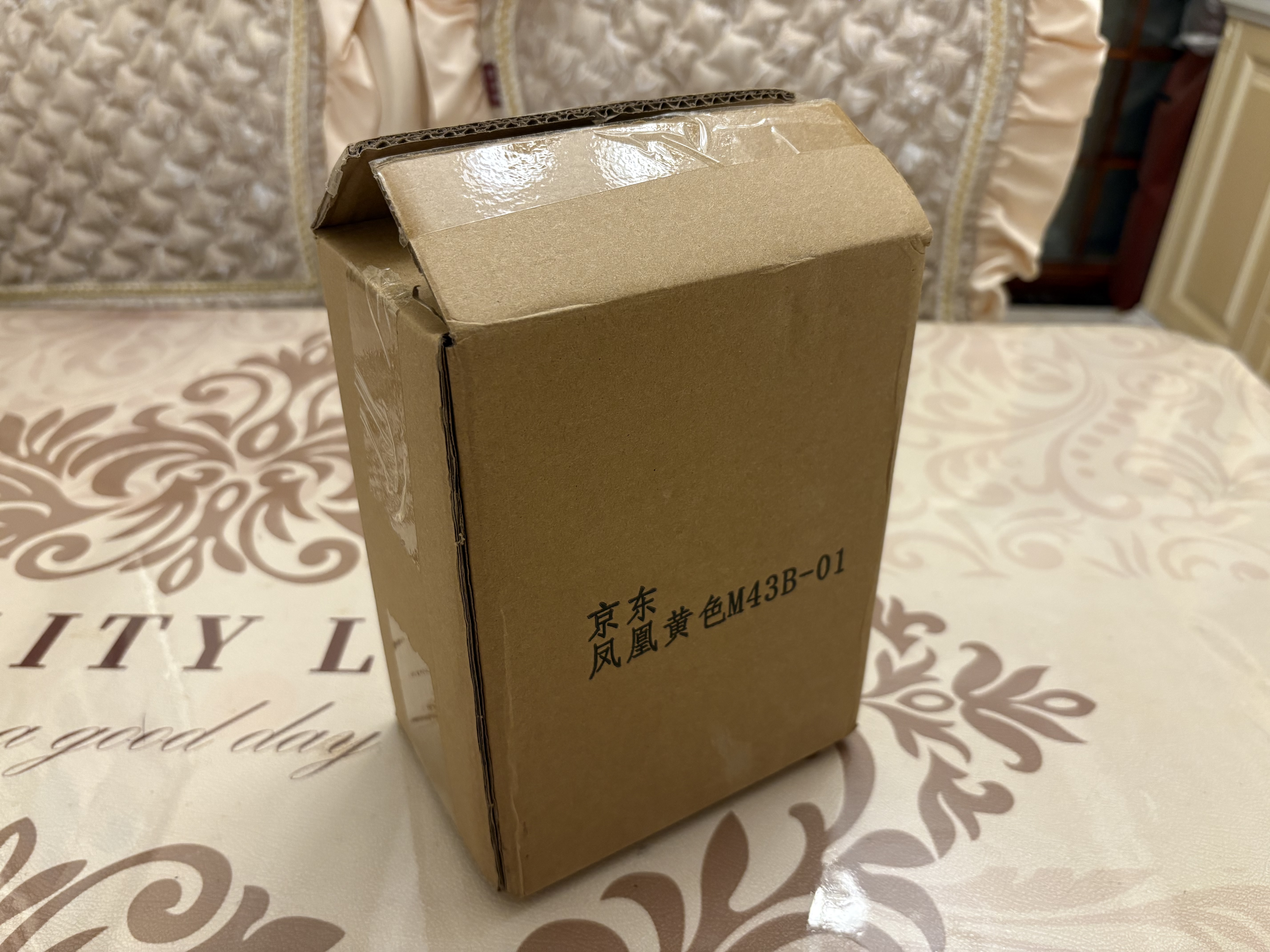 凤凰（Phoenix）脚踩打气筒自行车便携式电动摩托车电瓶车家用 实拍图