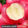 陇原红【顺丰到家】静宁苹果甘肃红富士苹果新鲜孕妇水果源头直发包邮 商超严选|10斤净重8.5斤80中大果17-18枚家庭装 实拍图