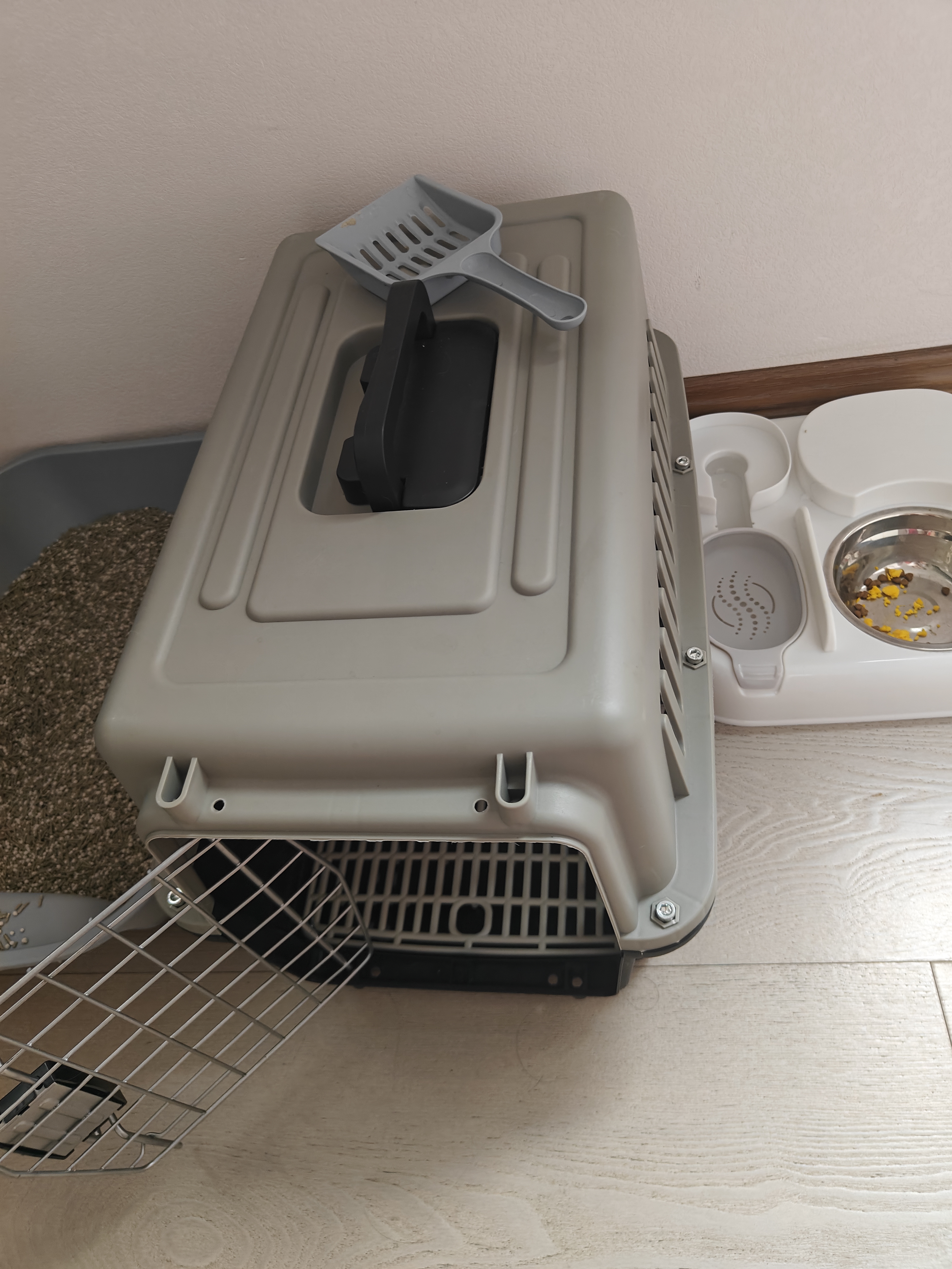 腆宠宠物航空箱小号 猫咪航空箱猫狗 猫包猫笼外出车载猫箱狗狗托运 实拍图