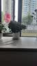 花翁栀子花盆栽四季开花卉大全树苗室内绿植好养易活茉莉花源头直发 实拍图