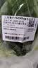 上海青约500g(油菜) 实拍图