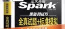 星火英语备考2026年12月四级全真题试卷含26年6月四级考试真题 四级全真试题+标准模拟（4级）历年真题复习cet4级乱序版四级词汇书 阅读理解听力写作翻译专项训练 阅读狂欢节 实拍图