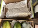 京鲜生 攀枝花【即食大果】凯特芒果 净重10斤 单果700g 5-7颗 生鲜礼盒 实拍图