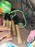 九千谷 园艺工具3件套 迷你小铲子花铲耙子套装种植家庭种菜养花2012 实拍图