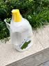 滴露（Dettol）衣物消毒液除菌柠檬3L 99.9%杀菌除螨内衣裤衣服消毒水 实拍图