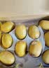 佳沛（zespri）新西兰金奇异果10粒巨大果146-175g猕猴桃水果礼盒 实拍图