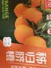 京觅应季脐橙湖北鲜橙榨汁爽口净重6斤单果180g+新鲜水果源头直发包邮 实拍图